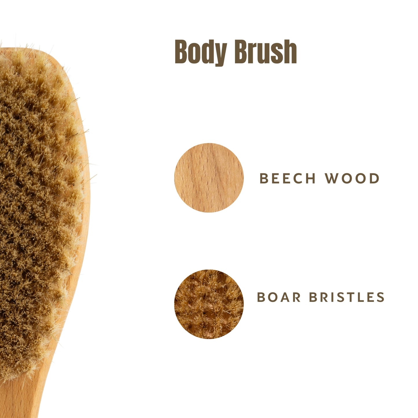 KONEX Bath Brush Set, Exfoliating Shower Scrubber, Dry Brushing Body Brush Set, Pore Opening, Beechwood Handle with Natural Bristle Large 15" Plus