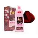 BLEST PROFESSIONAL HAIR CARE Hair Dye 2-in-1 Shampoo Color for Quick Gray Coverage - Semi Permanent Hair Color for Men and Women - 500ml (Red)