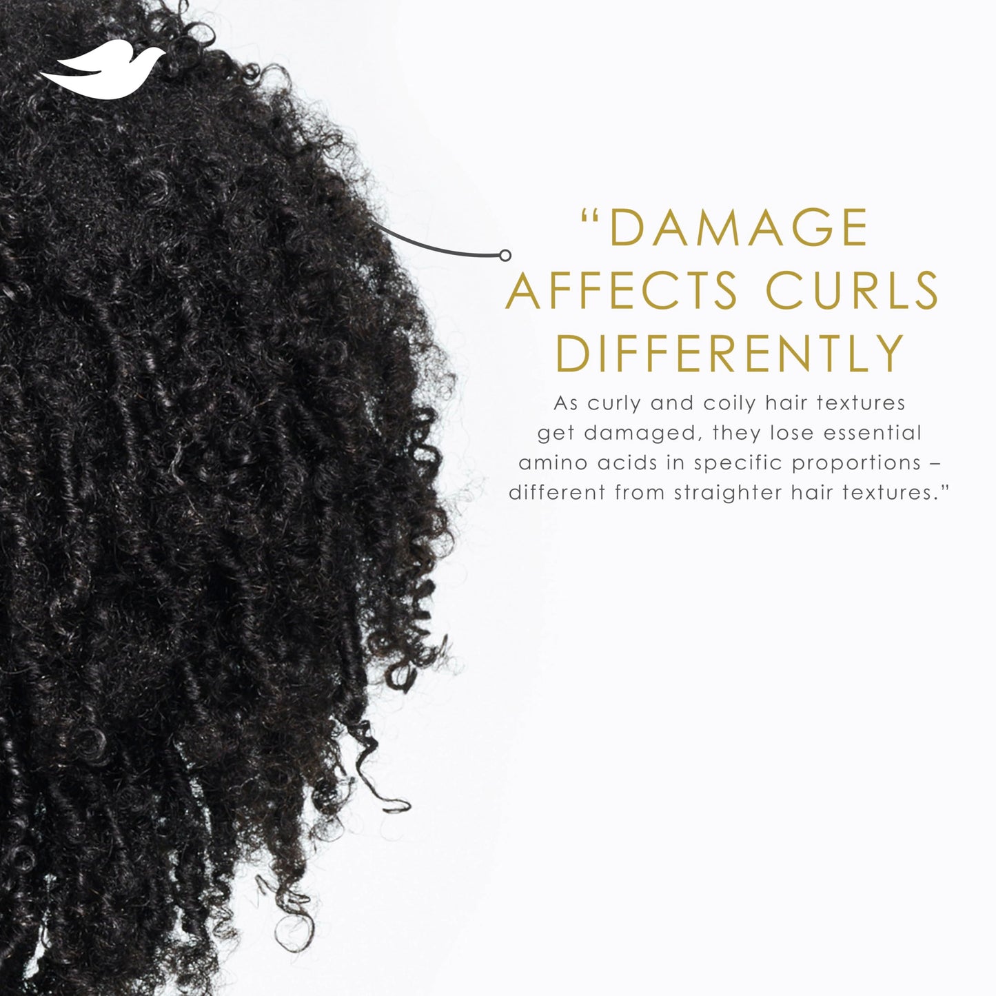 Dove Curl Cream Amino Curl for Curly, Coily Hair with Bio-Protein Care Technology + Amino Complex 8 Fl Oz