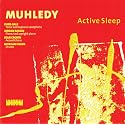 Active Sleep