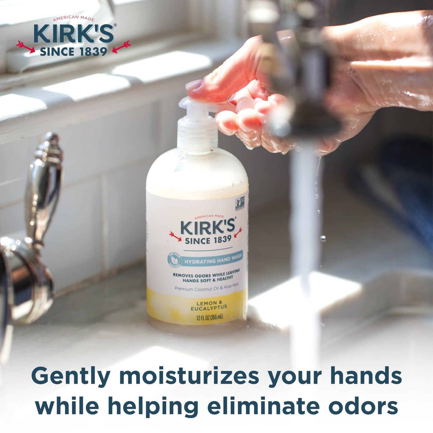 Kirk's Odor-Neutralizing Clean Hand Soap Castile Liquid Soap Pump Bottle | Moisturizing & Hydrating Kitchen Hand Wash | Lemon & Eucalyptus Scent | 12