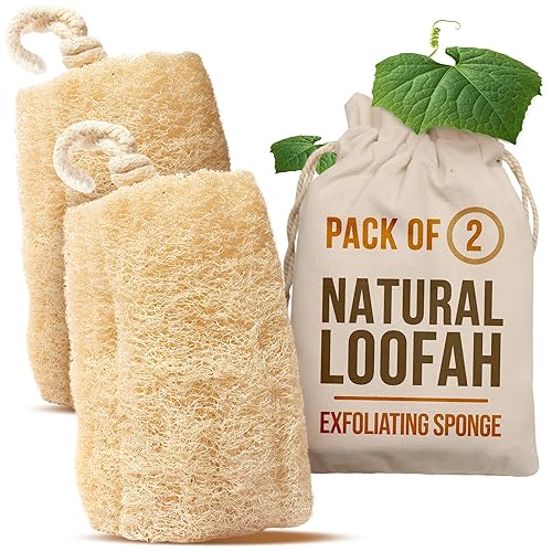 CraftsOfEgypt Natural Loofah Sponge - Egyptian Luffa Body Scrubber Pack of 2 for Men & Women, Natural Bath & Shower Loofah Exfoliator, All Natural