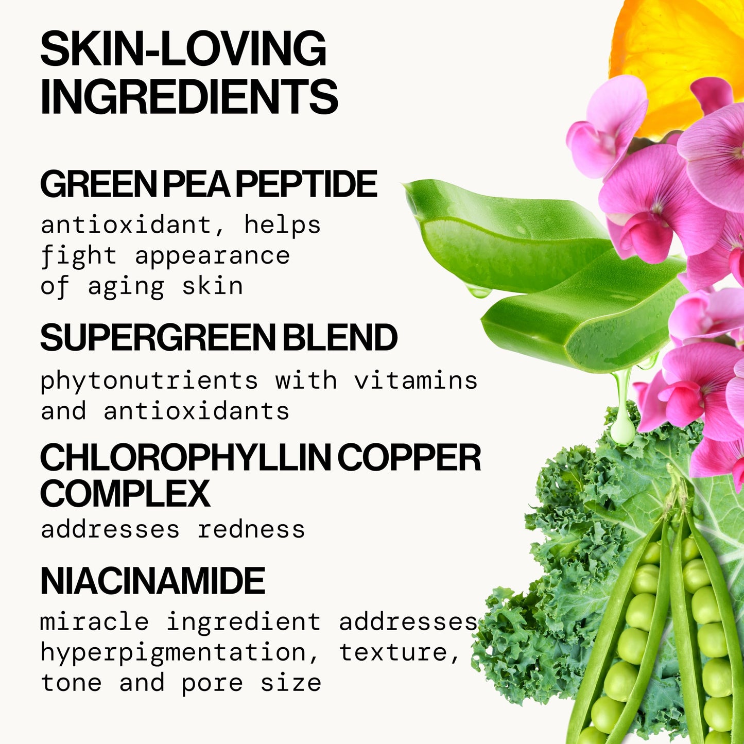 Pacifica Kale Smoothie Face Lotion, Refining Skincare, Face Moisturizer, Niacinamide, Vitamin C and E, Minimize Pores, Face Serum, For All Skin Types