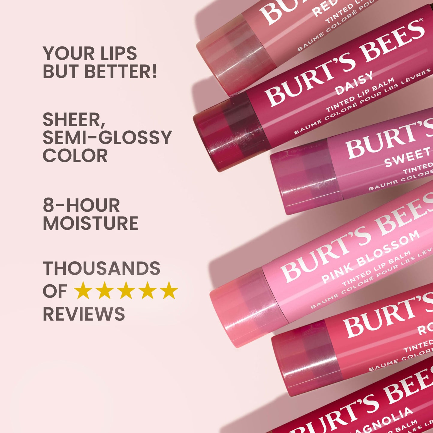 Burt's Bees Lip Tint Balm, Long Lasting 2 in 1 Duo Tinted Balm Formula, Color Infused with Hydrating Shea Butter for a Natural Looking Buildable