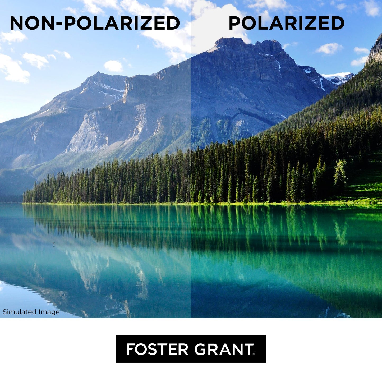 Foster Grant Polarized Sunglasses For Women, Brown Tortoise Shell Sunglasses