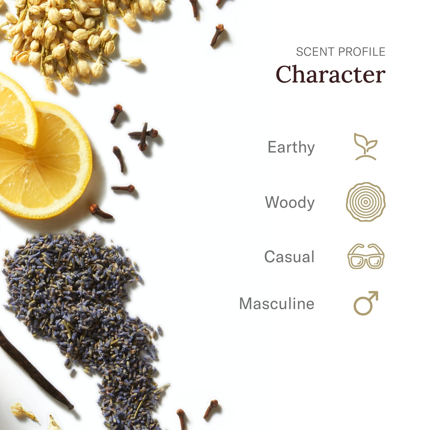 STETSON Original Cologne for Men | Classic Woody Scent with Citrus, Patchouli & Tonka Bean Notes | 0.75 fl oz