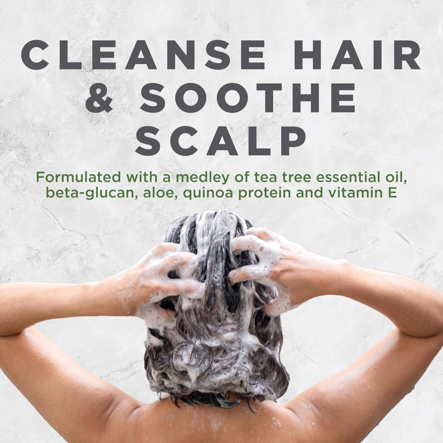 Avalon Organics Scalp Treatment Tea Tree Shampoo, Encourages Scalp Well-Being and Leaves Hair Soft, 32 Fluid Ounces Beauty and Personal Care Avalon Organics