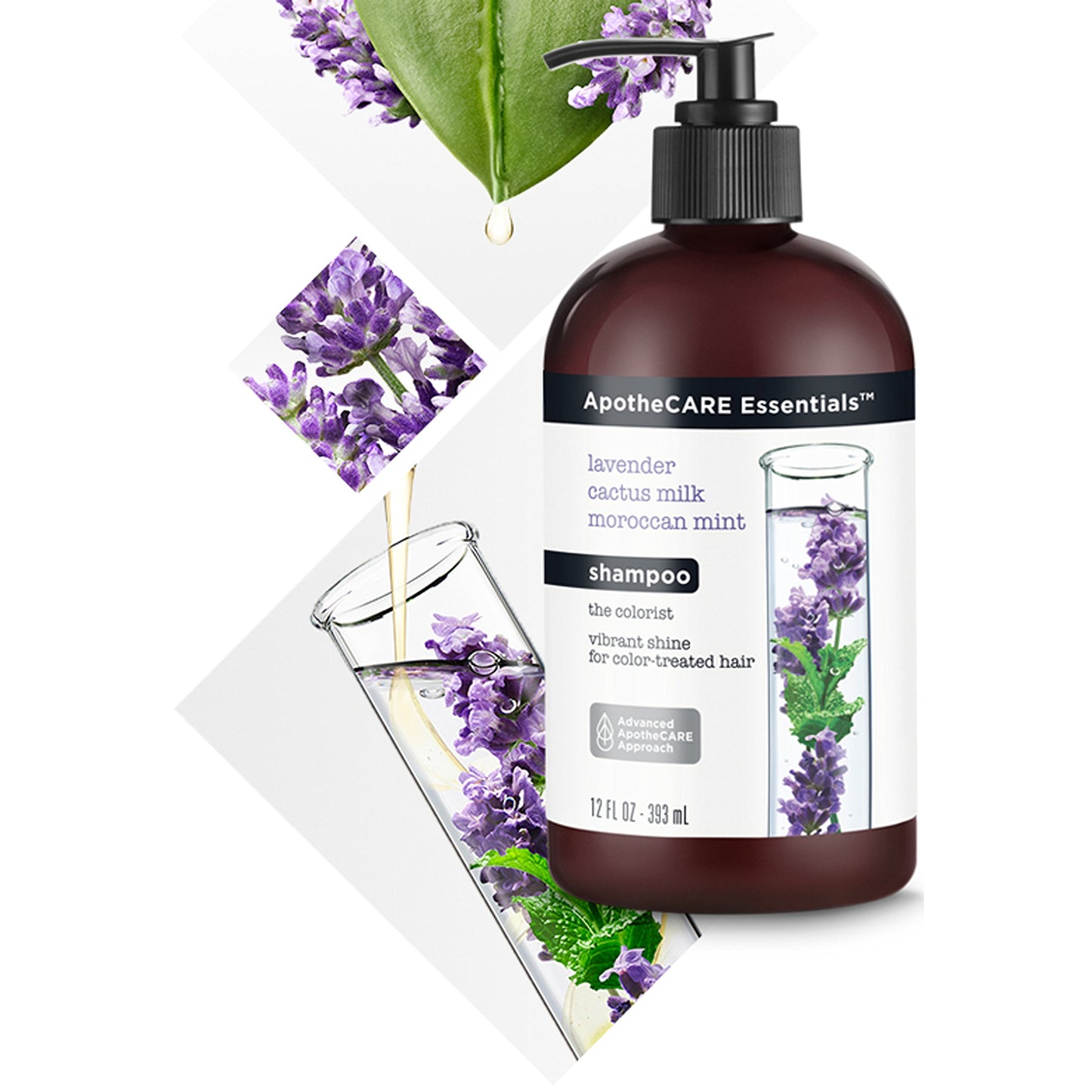 ApotheCARE Essentials The Colorist Shampoo, Lavender, Moroccan Mint, Cactus Milk, 12 oz