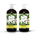 Tea Tree Oil & Biotin Shampoo & Conditioner Set for Men & Women | Professional Strength Formula | Refreshes & Stimulates Hair & Scalp | Moisturizing