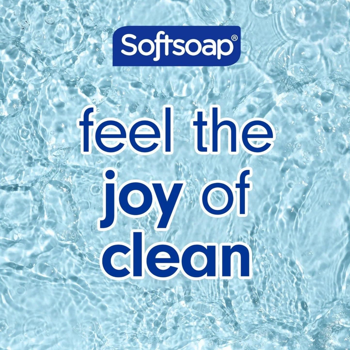 Softsoap Limited Edition Frosty Mint Peppermint Scented Liquid Hand Soap, 11.25 Fl Oz, 2 Pack, Winter Holiday Design