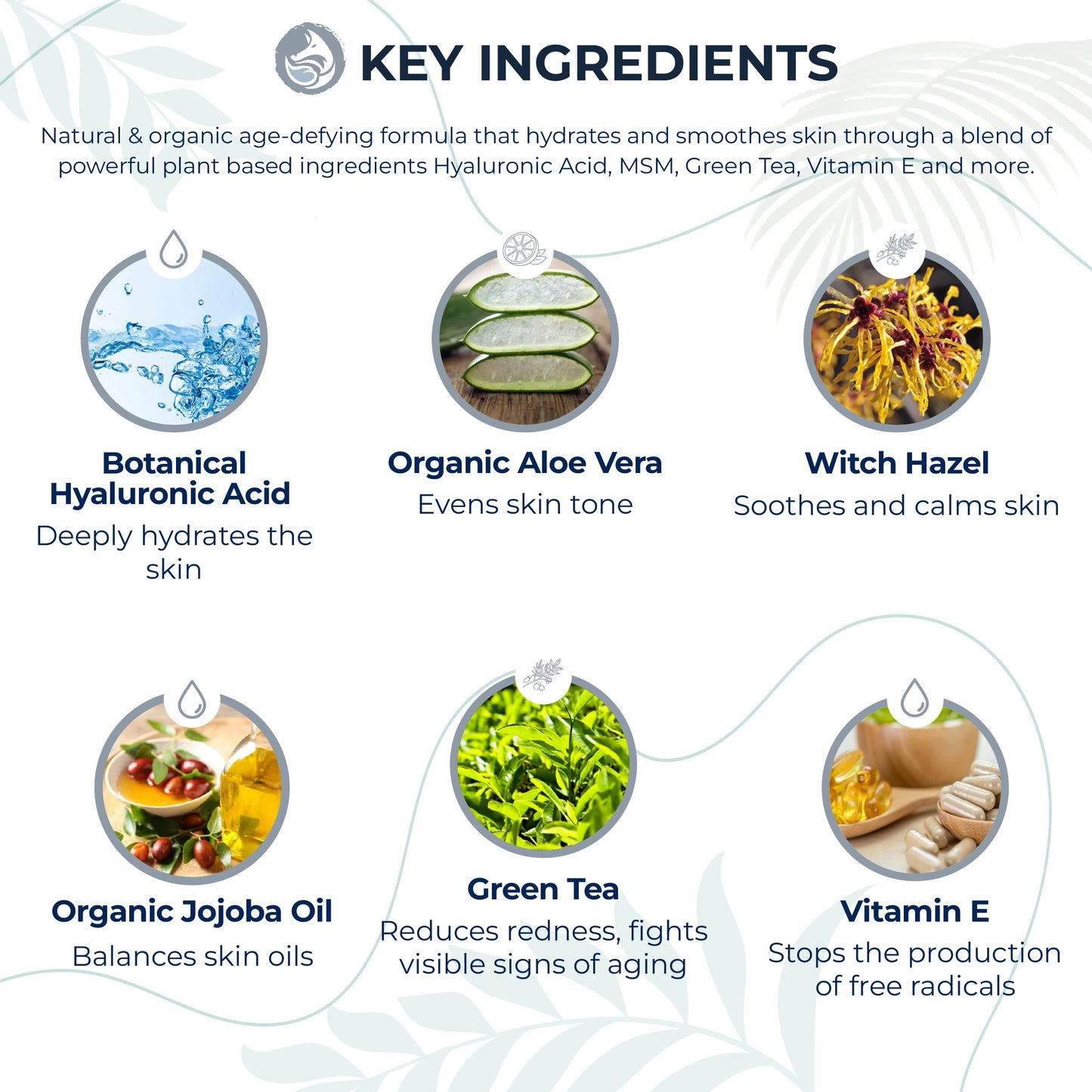 Hyaluronic Acid Face Serum - Hydrating Anti Wrinkle Anti Aging Facial Serum - With Vitamin C and E, Green Tea, Jojoba Oil - Natural and Organic - 1