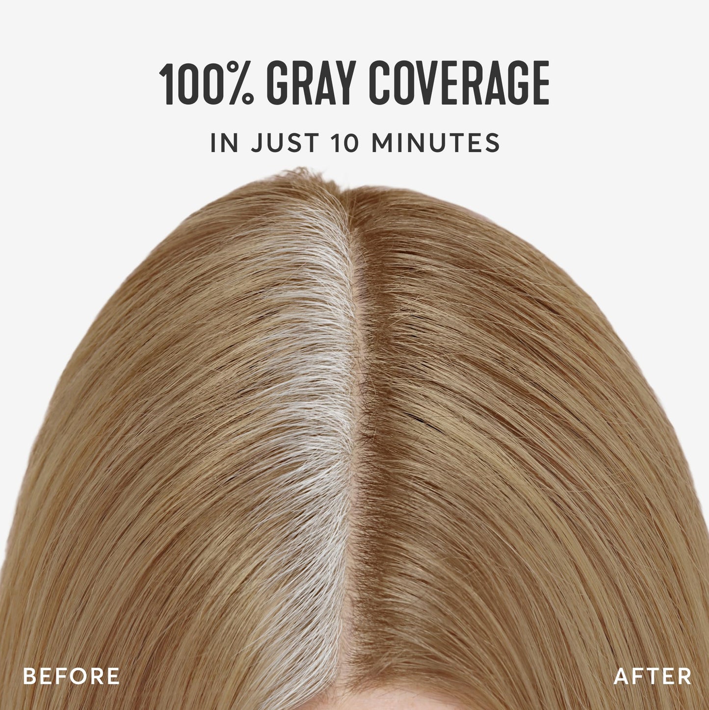 Madison Reed Root Perfection Root Touch Up Kit - 8N Bergamo Dark Blonde, 2 Permanent Applications, 100% Gray Coverage in 10 Min | PPD-Free