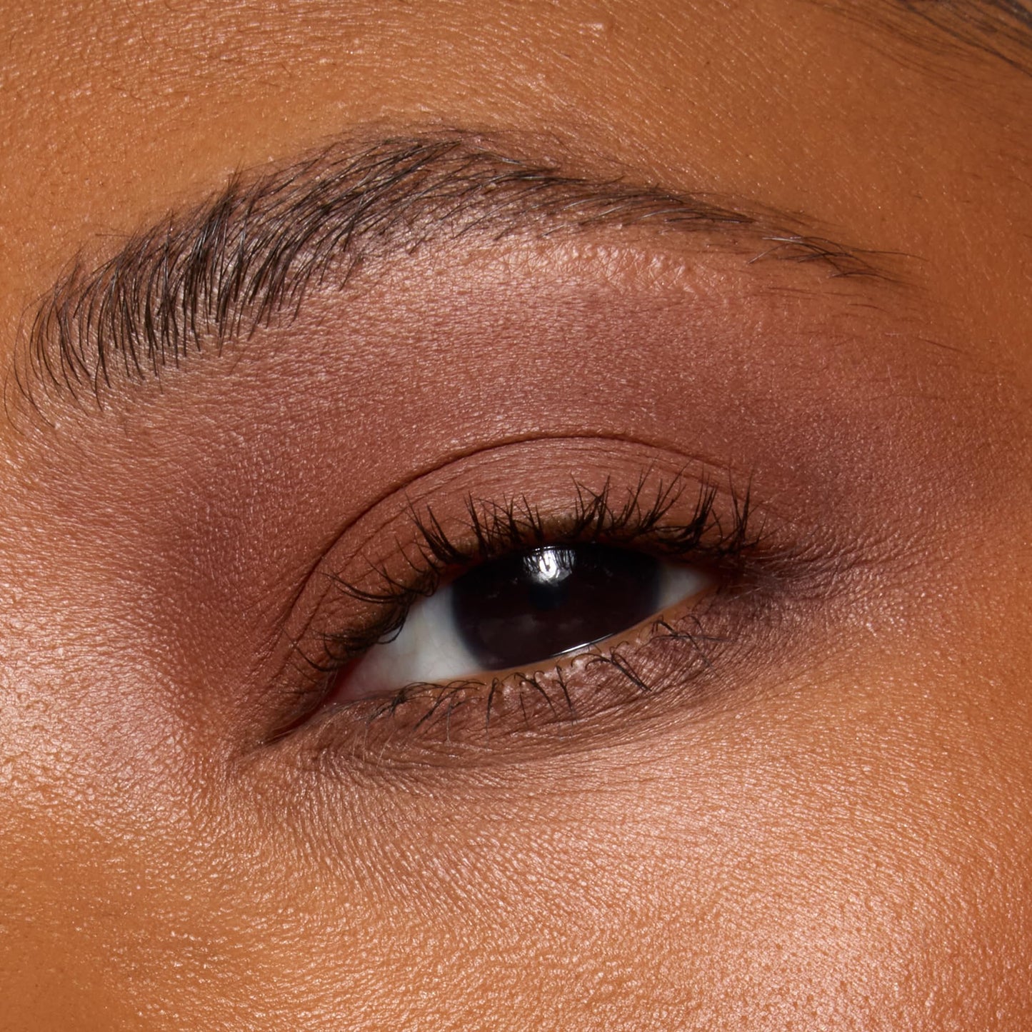 e.l.f. Perfect 10 Eyeshadow Palette, Ten Ultra-pigmented Shimmer & Matte Shades, Vegan & Cruelty-Free, Keep It Ethereal Beauty and Personal Care e.l.f.