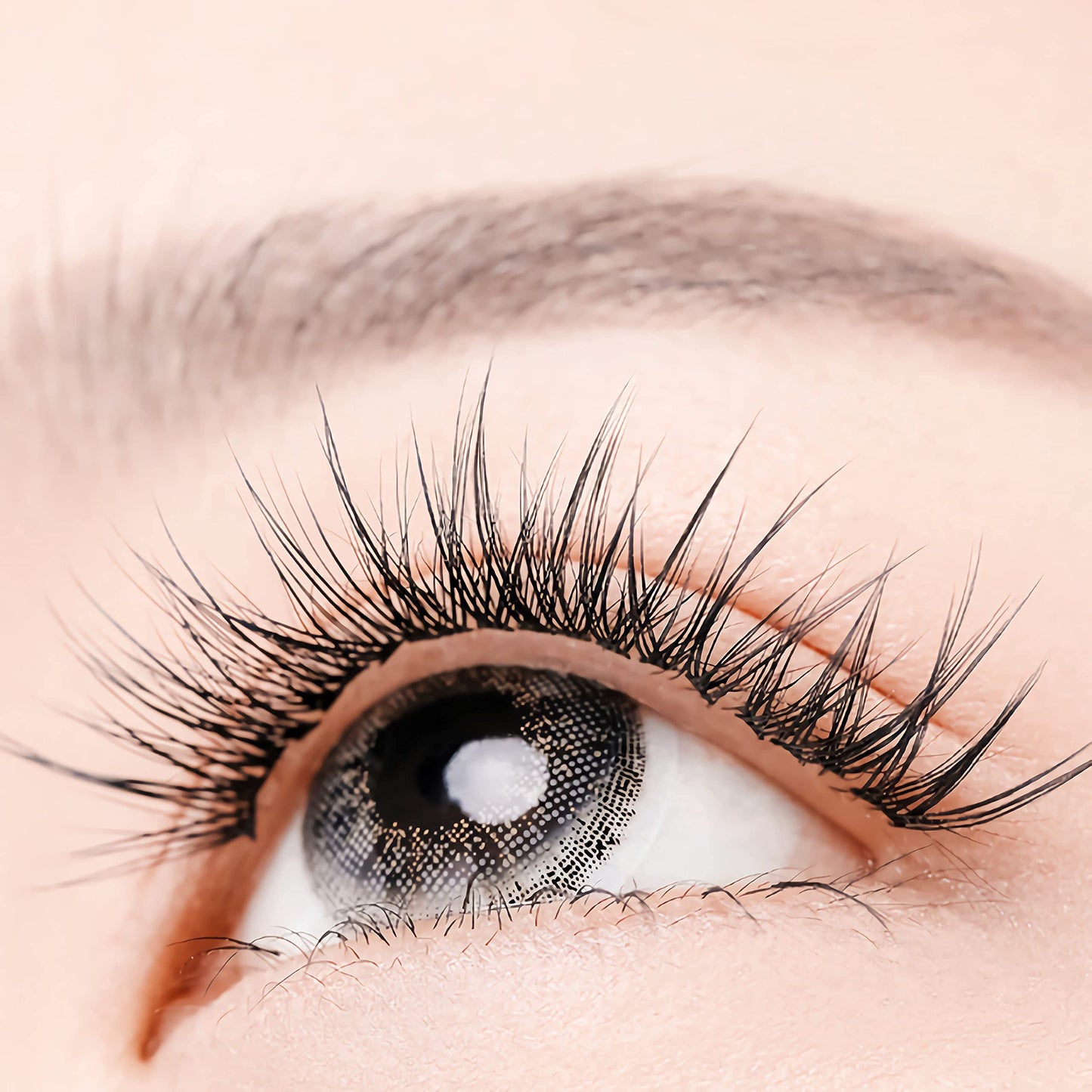 IECILI Individual Lashes/Lash Clusters 480pcs 8-14mm Cluster Eyelash Extensions /12 Roots/C Curl /0.07mm Cluster Lashes/Faux Mink Lash Extensions (C