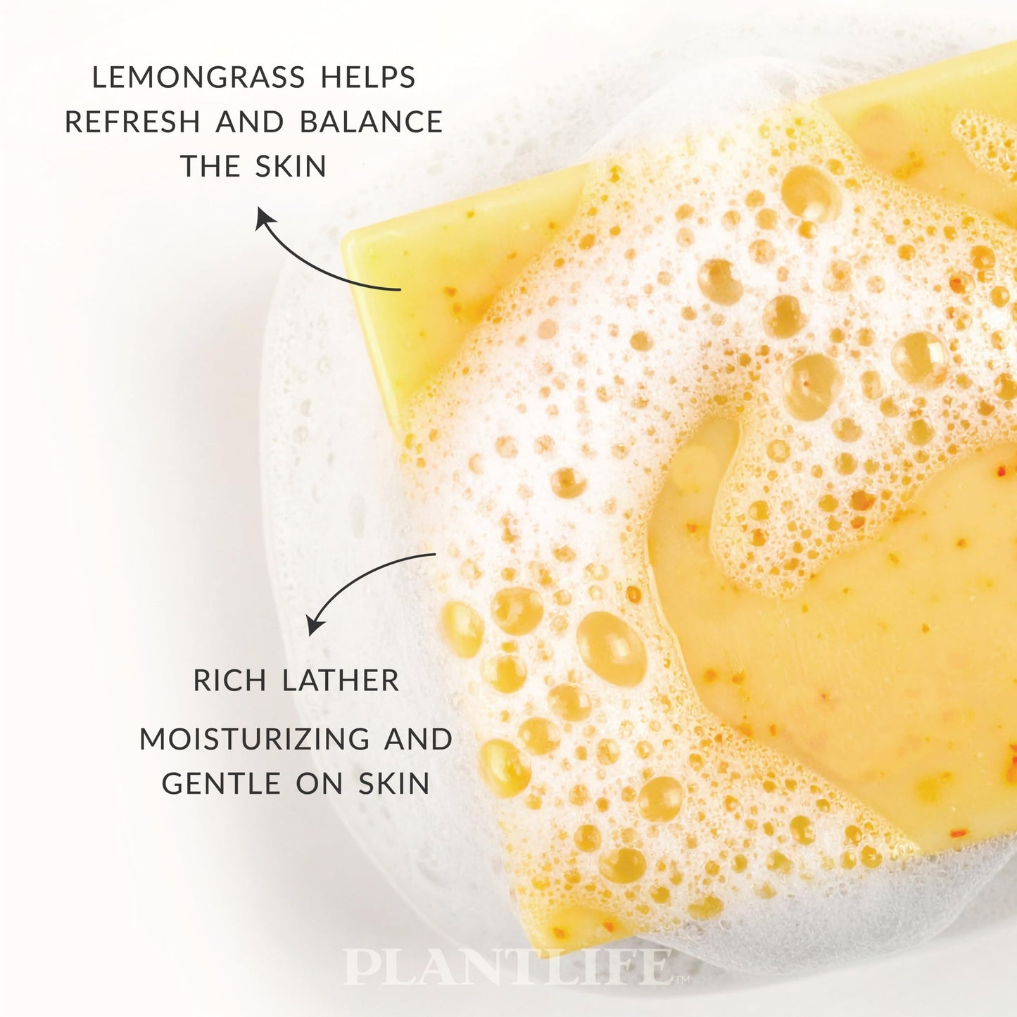 Plantlife Lemongrass 6-pack Bar Soap - Moisturizing and Soothing Soap for Your Skin - Hand Crafted Using Plant-Based Ingredients - Made in California Beauty & Personal Care Plantlife