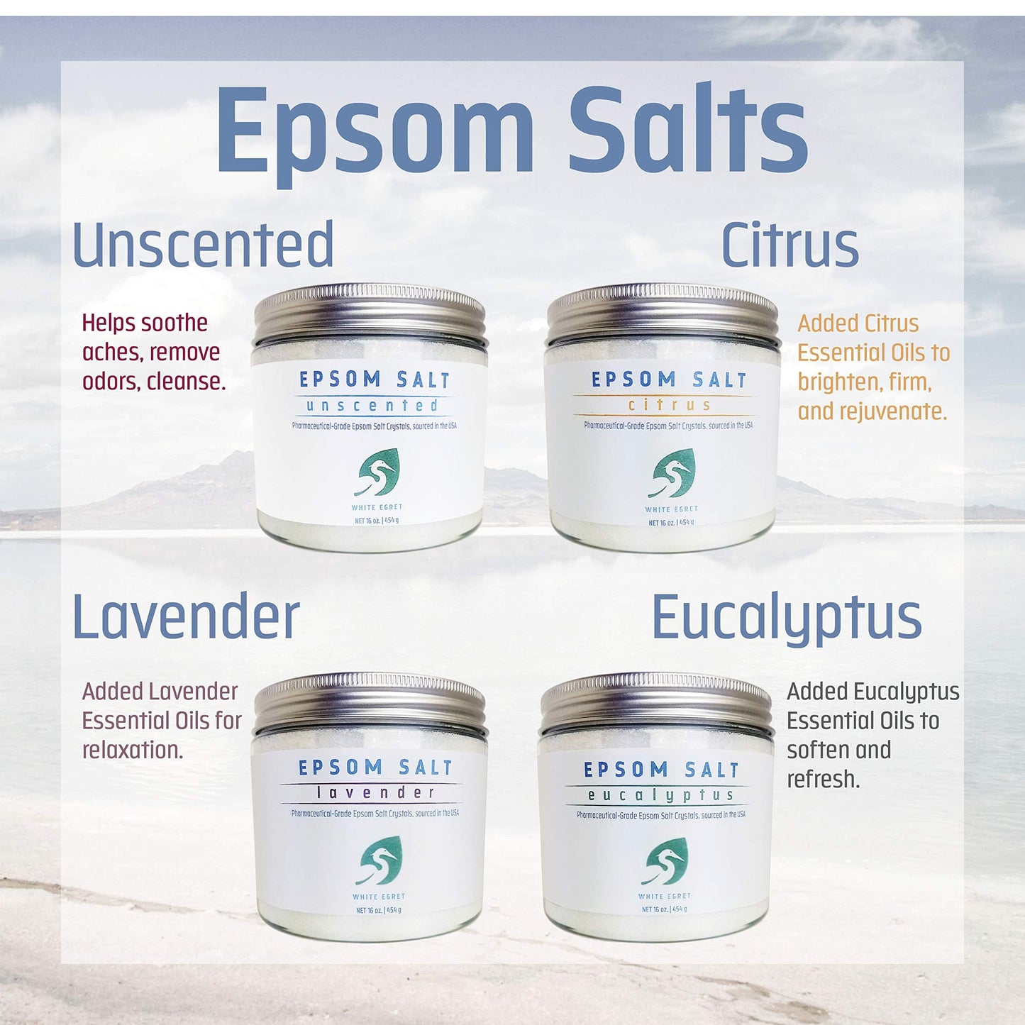 WHITE EGRET Epsom Salt, Eucalyptus, 2.5 Pound Beauty and Personal Care White Egret