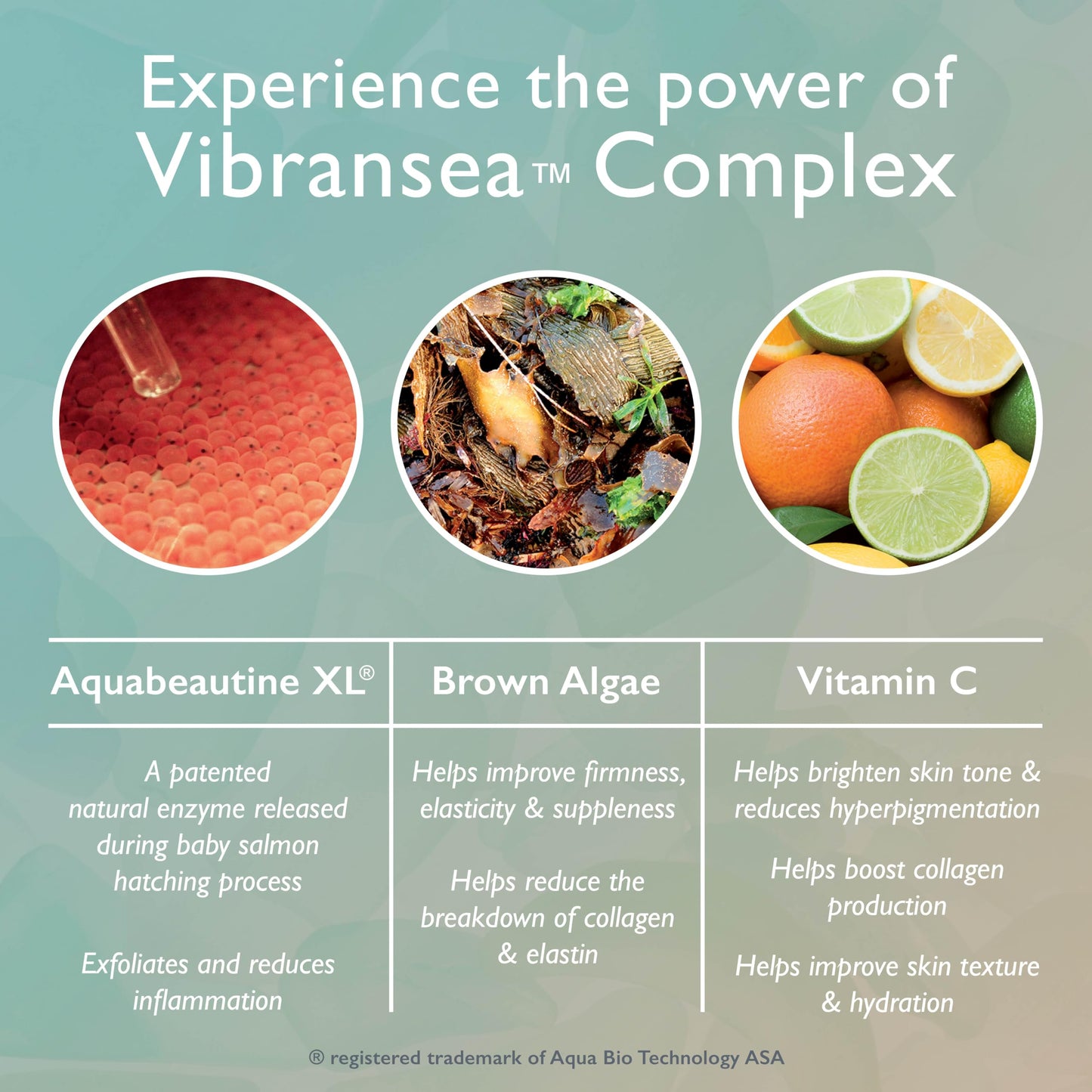 Restorsea Revitalizing Eye Cream - Reduces Dark Circles & Crow’s Feet - Anti-Aging Eye Treatment with Vibransea™ Complex, Hesperidin & Oat Extract