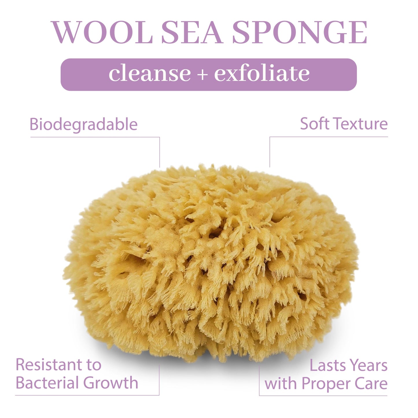 Sea Wool Sponge by Baudelaire 5.5" - Natural Sea Sponges for Bathing - Bath Sea Sponge for Shower - Natural Sea Sponge Loofah - Durable - Sustainable Beauty and Personal Care Baudelaire