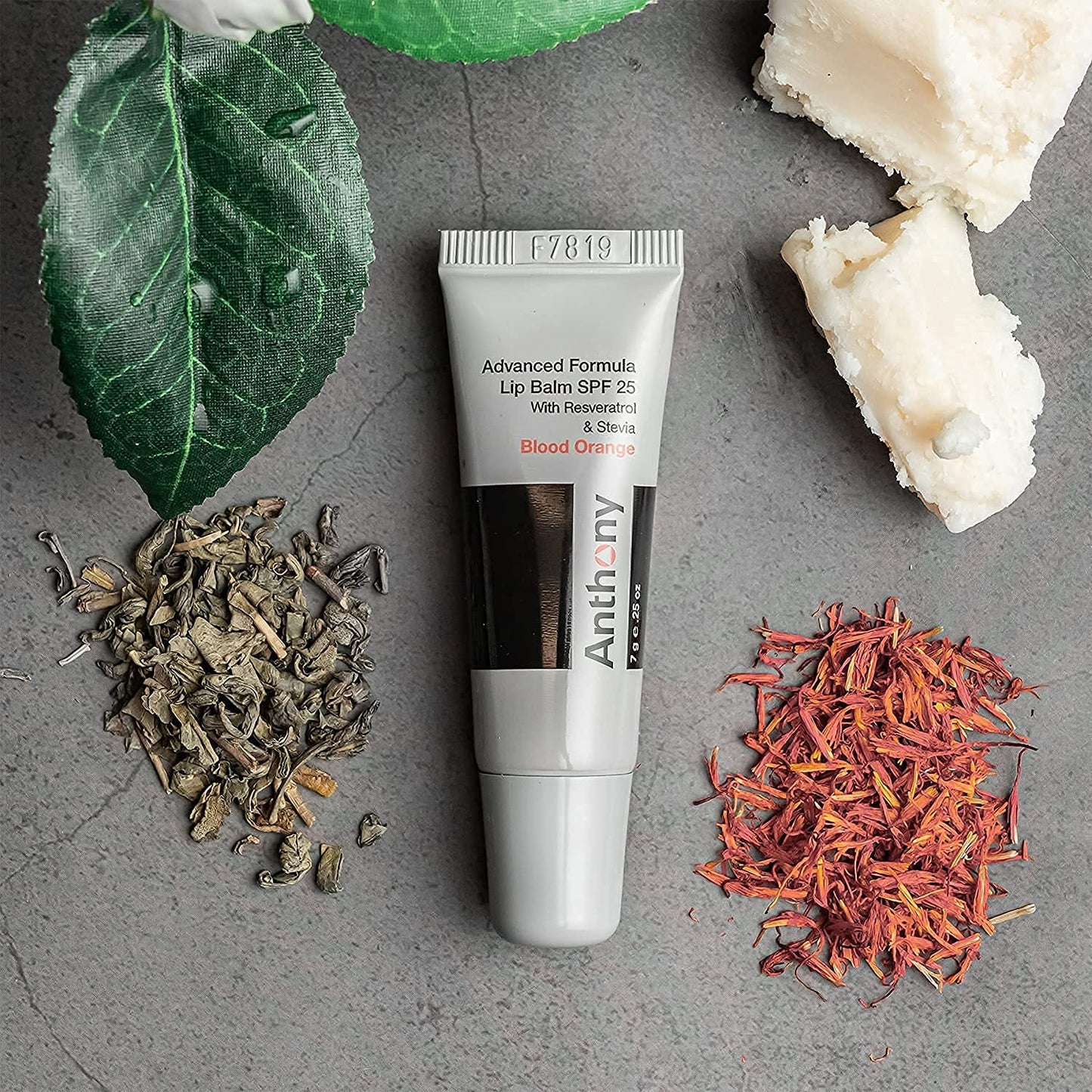 Anthony 25 SPF Lip Balm with Sunscreen for Lips - Contains Green Tea Extract, Shea Butter & Vitamin E - Moisturizing Repair Care Treatment for Chapped