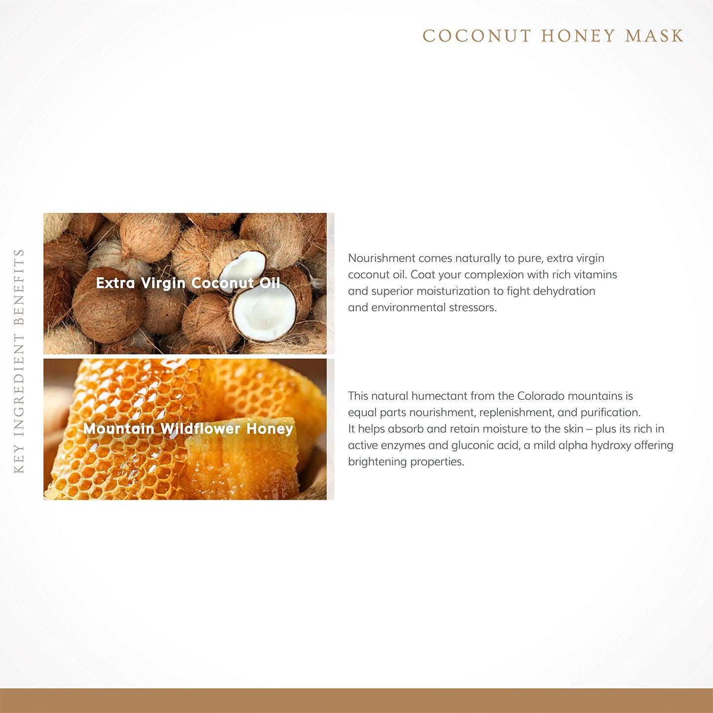 Annmarie Skin Care Coconut Honey Mask - With Extra Virgin Coconut Oil & Mountain Wildflower Honey, Moisturizing & Exfoliating Mask for Dull, Dry