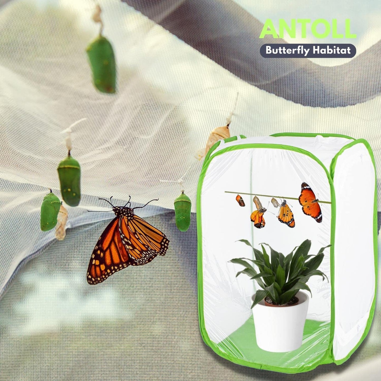 Antoll 3-Pack 24" Green Butterfly Habitat Cage – Monarch & Caterpillar Mesh Enclosure, Pop-Up Insect Observation Cage 16
