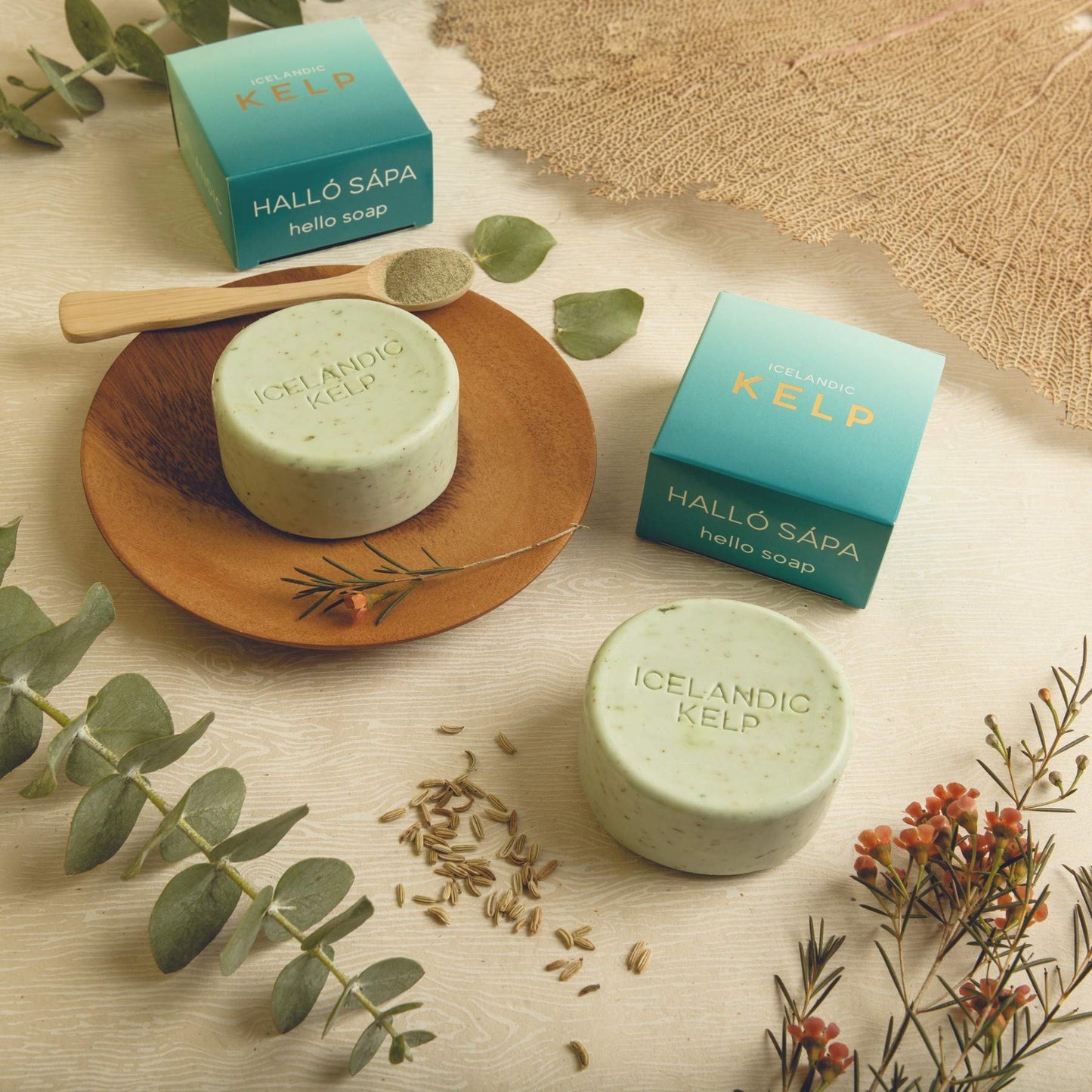 Exfoliating Bars of Soap From Natural Ingredients, Assorted Scents - Icelandic Kelp and Moss, Set of 2, 4.3 Ounce Each