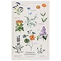 Now Designs Edible Flowers Printed Kitchen Towel, 18x28 inches