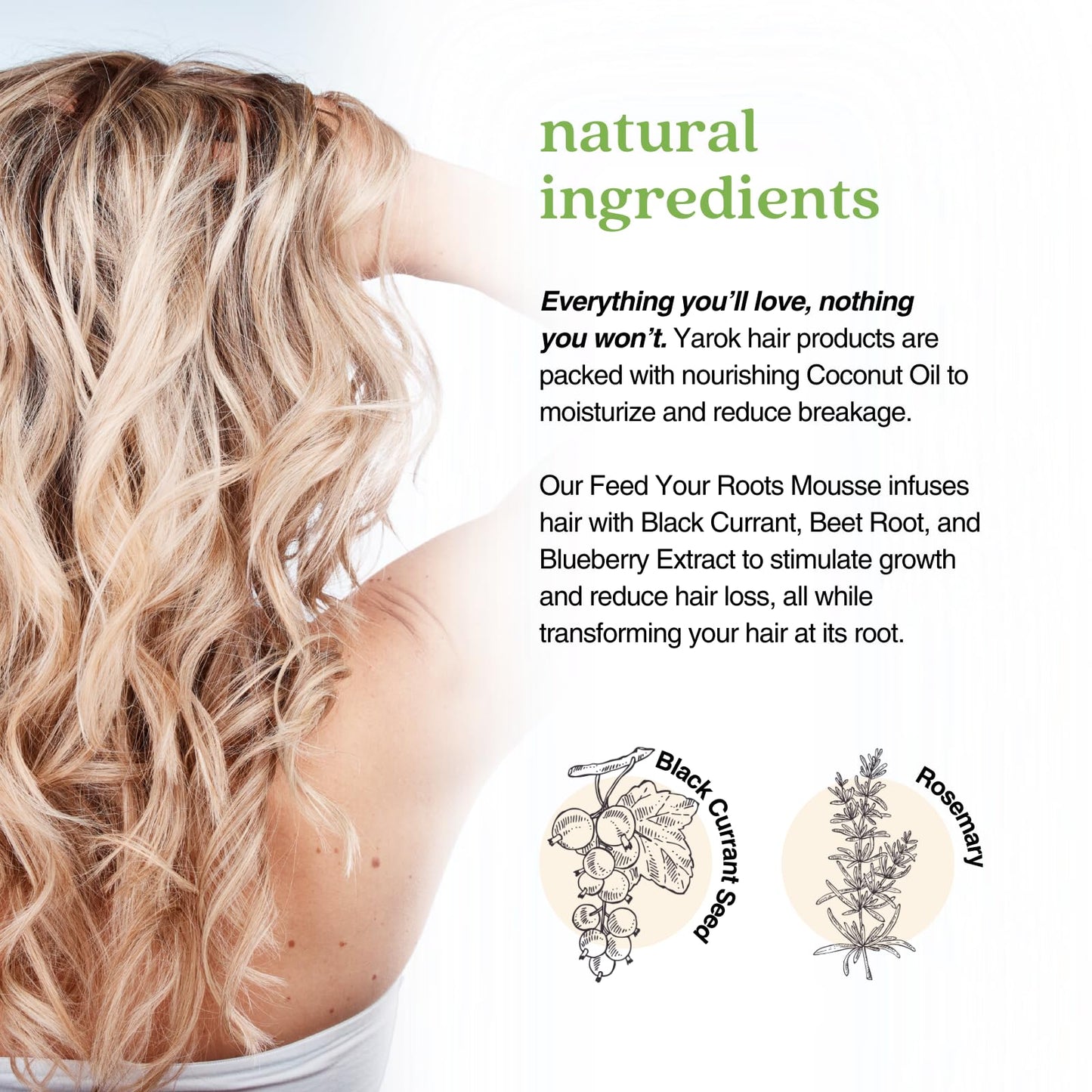 Yarok - Feed Your Roots Mousse - Volumize, Texturize & Transform - Volume Enhancer - Transform Curls - Non-Sticky & Non-Crunchy Formula - 100% Vegan