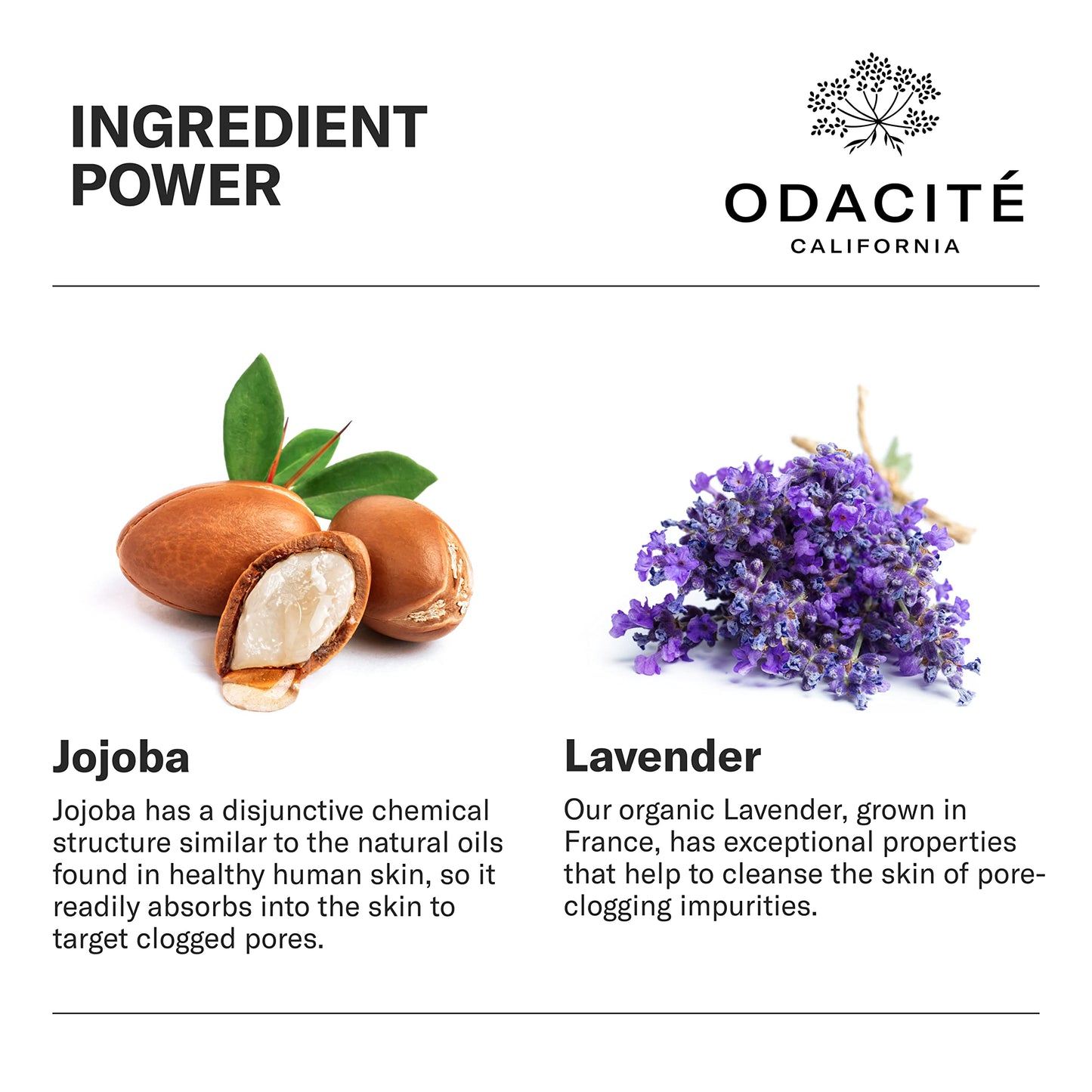 Odacité Acne Serum Concentrate for Face, Pore Cleanser Facial Oil for Skincare with Jojoba + Lavender - Clogged Pores Facial Serum Concentrate