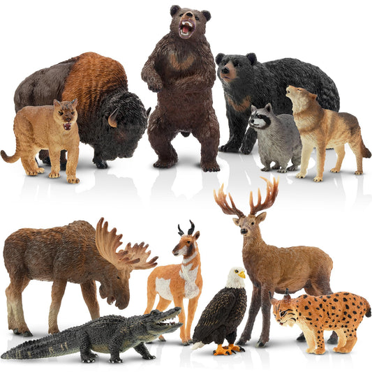 Toymany 12PCS North American Forest Animal Figurines – Realistic Jungle Wildlife Set with Bear, Wolf, Eagle & More, Educational Toys for Kids