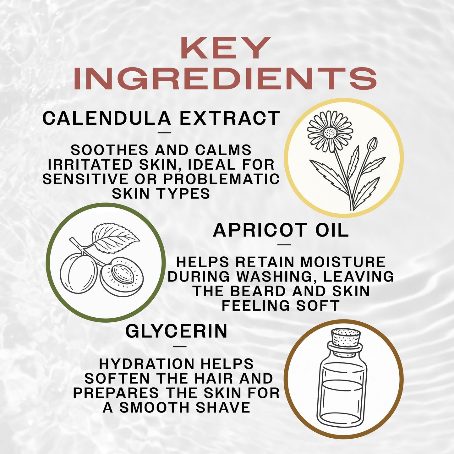 REUZEL Clean & Fresh Beard Wash, Softens Beard, Cleanses and Moisturizes, Gentle, Non-Comedogenic, Vegan Formula, Light Citrus Mint Scent, For All