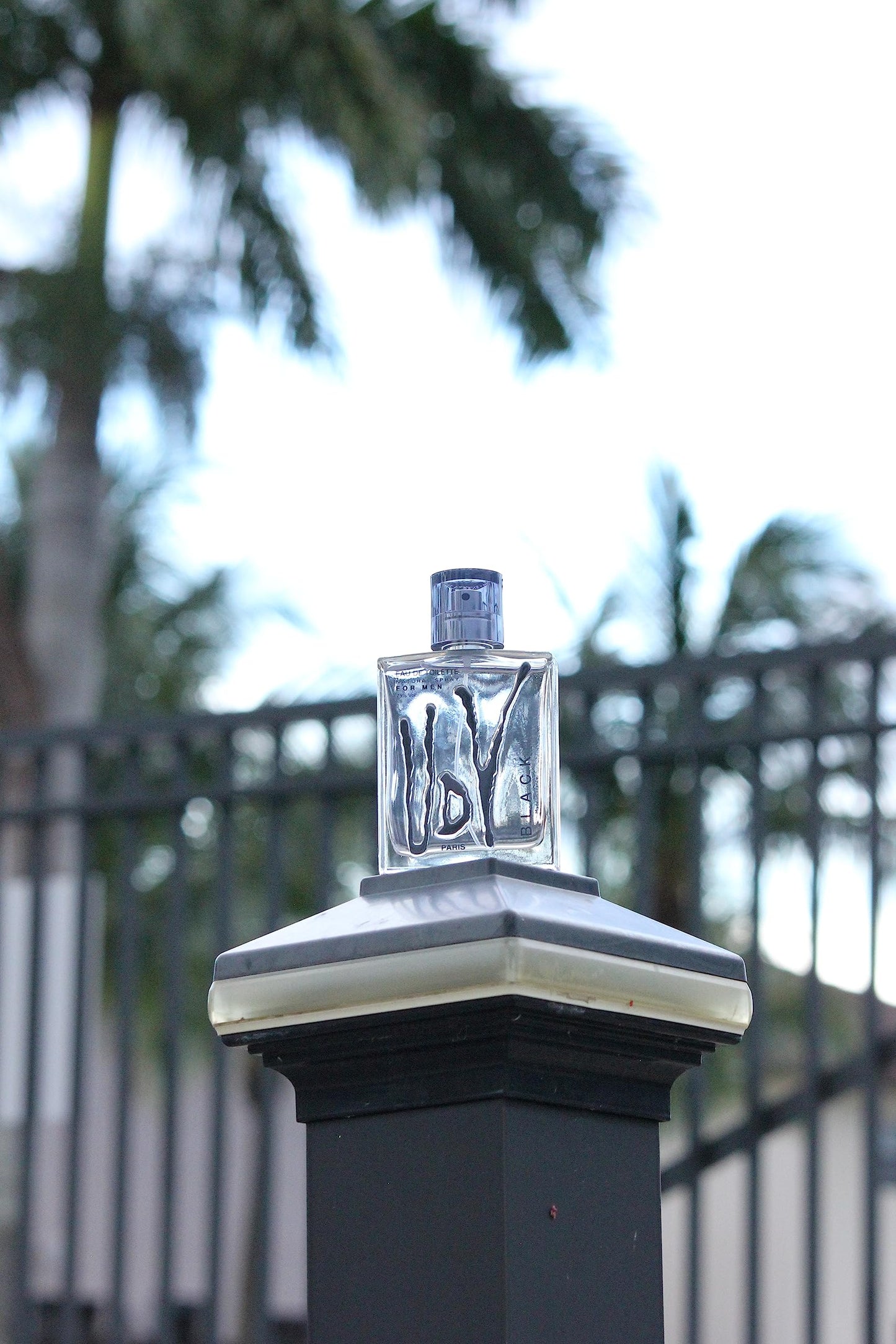 Ulric De Varens BLACK - Eau De Toilette for Men - Modern, Classic, Citrusy Scent - Woody, Adventurous Notes of Bergamot, Green Apple, White Flower