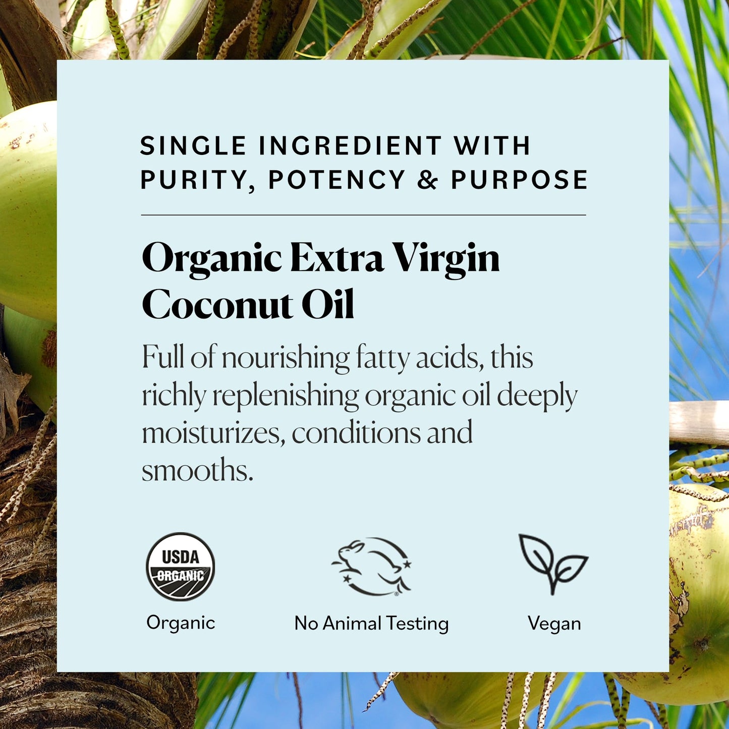 Sky Organics Organic Coconut Oil 16.9oz – Extra Virgin, Vegan & Cruelty-Free Hair Oil & Body Moisturizer with Vitamins & Antioxidants