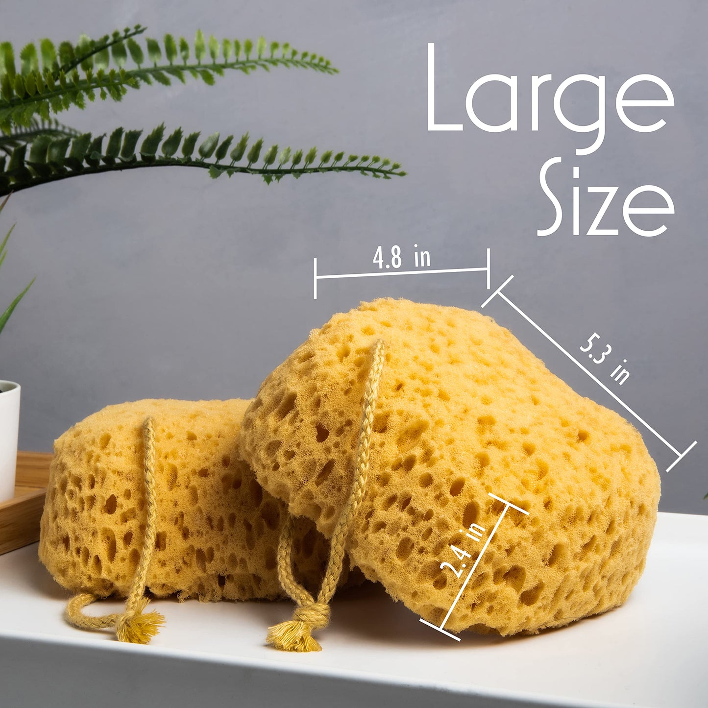 myHomeBody Bath Sponge, Foam Loofah, Shower Sponge for Body, Curvy, 3 Pack Beauty and Personal Care myHomeBody