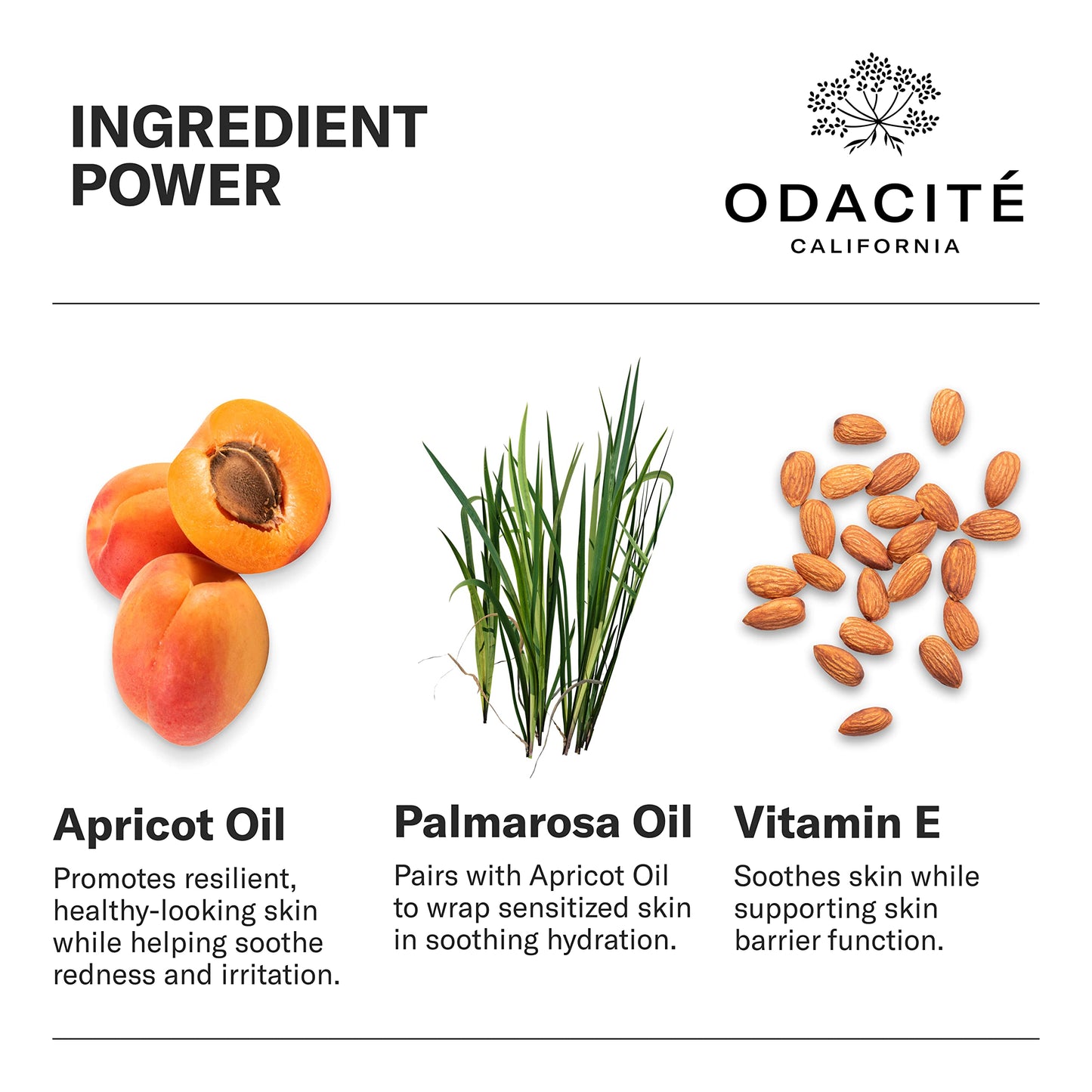 Odacité Anti Aging Serum Concentrate with Apricot and Palmarosa - For Fragile Capillaries - Ultra-Soothing Facial Serum for Fragile Skin, Redness