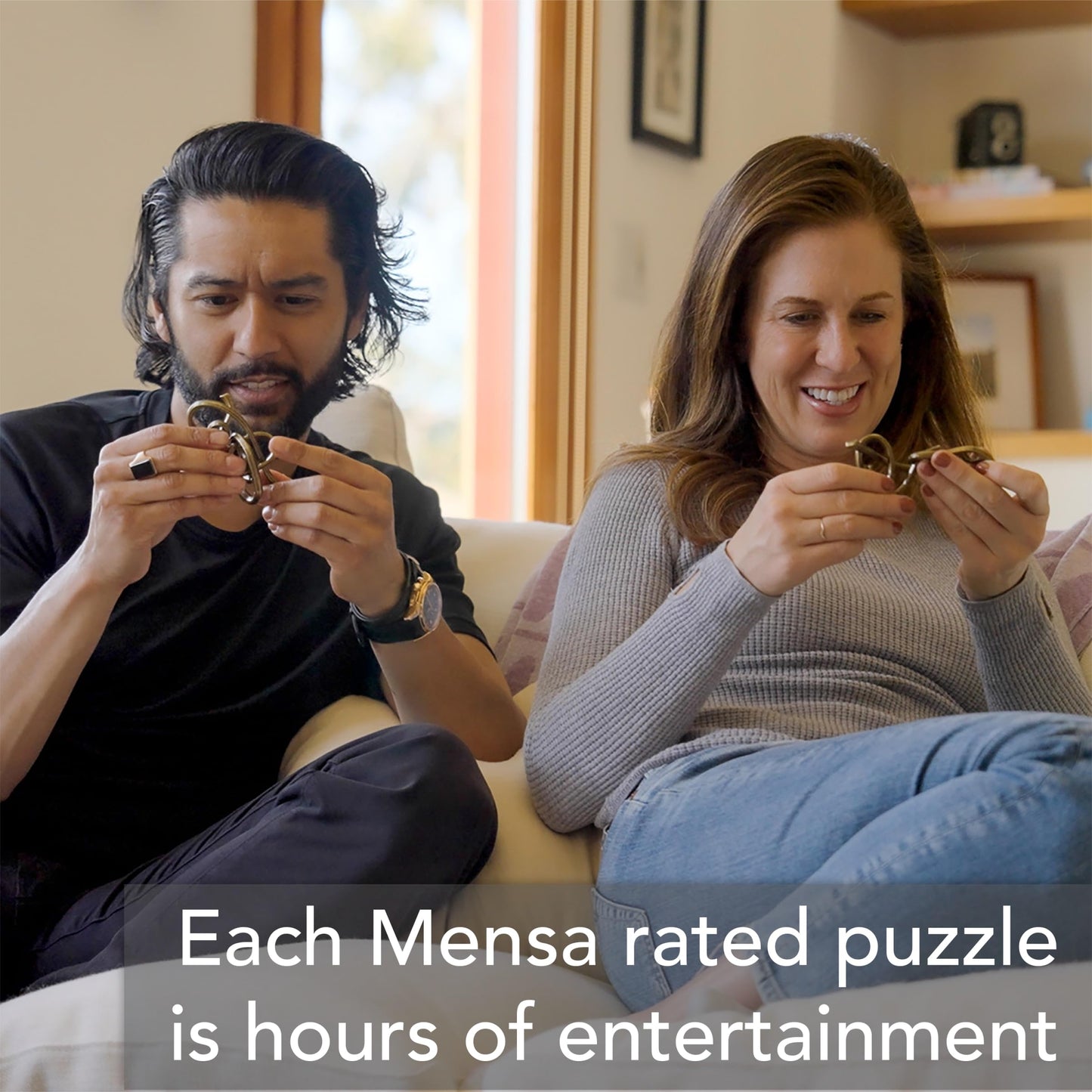 BePuzzled | Quartet Hanayama Metal Brainteaser Puzzle Mensa Rated Level 6, for Ages 12 and Up