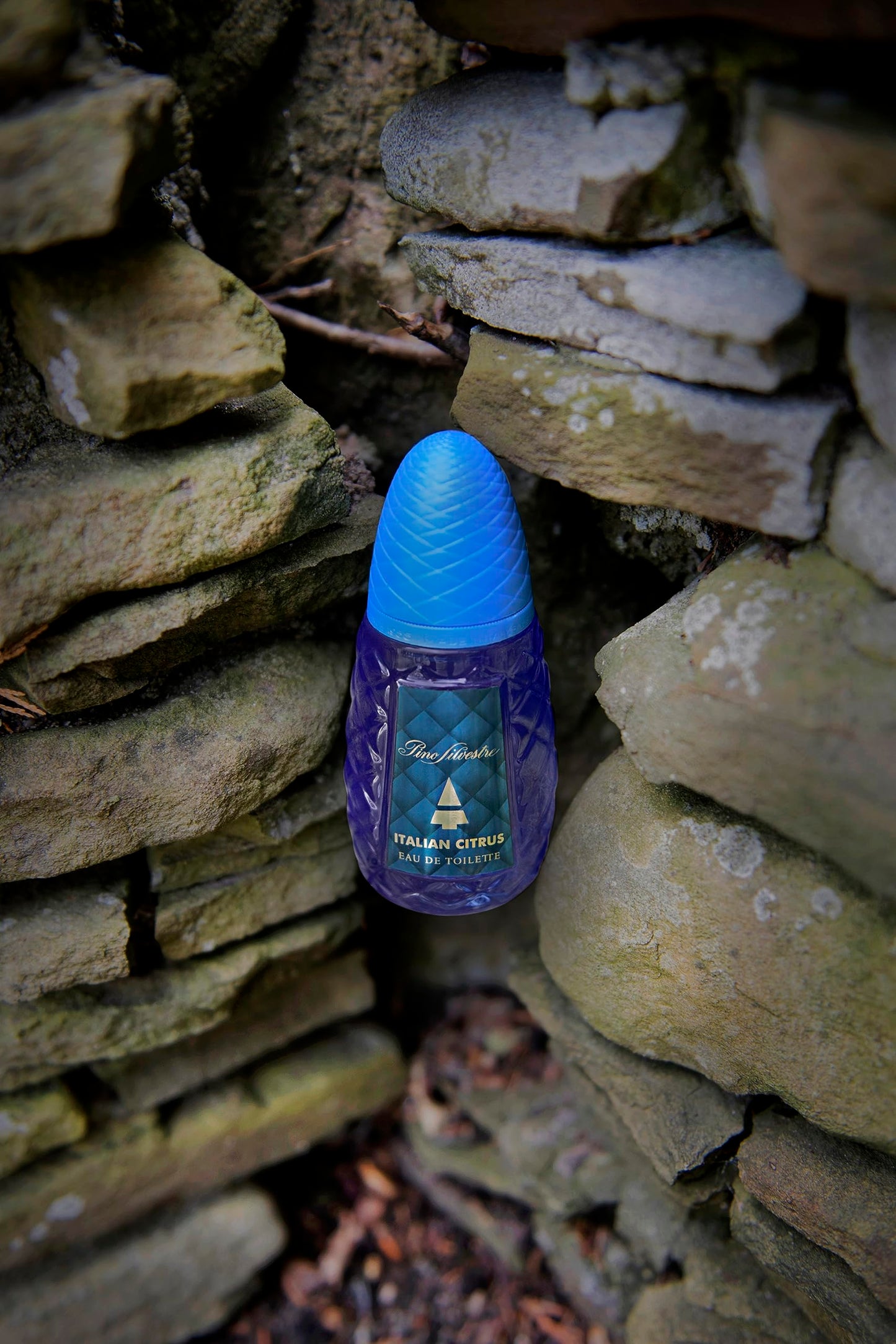 Italian Citrus by Pino Silvestre - Perfume for Men - Woody, Aromatic Scent - Blended with Lemon, Pine, Apple, Patchouli, and Musk - for Calm