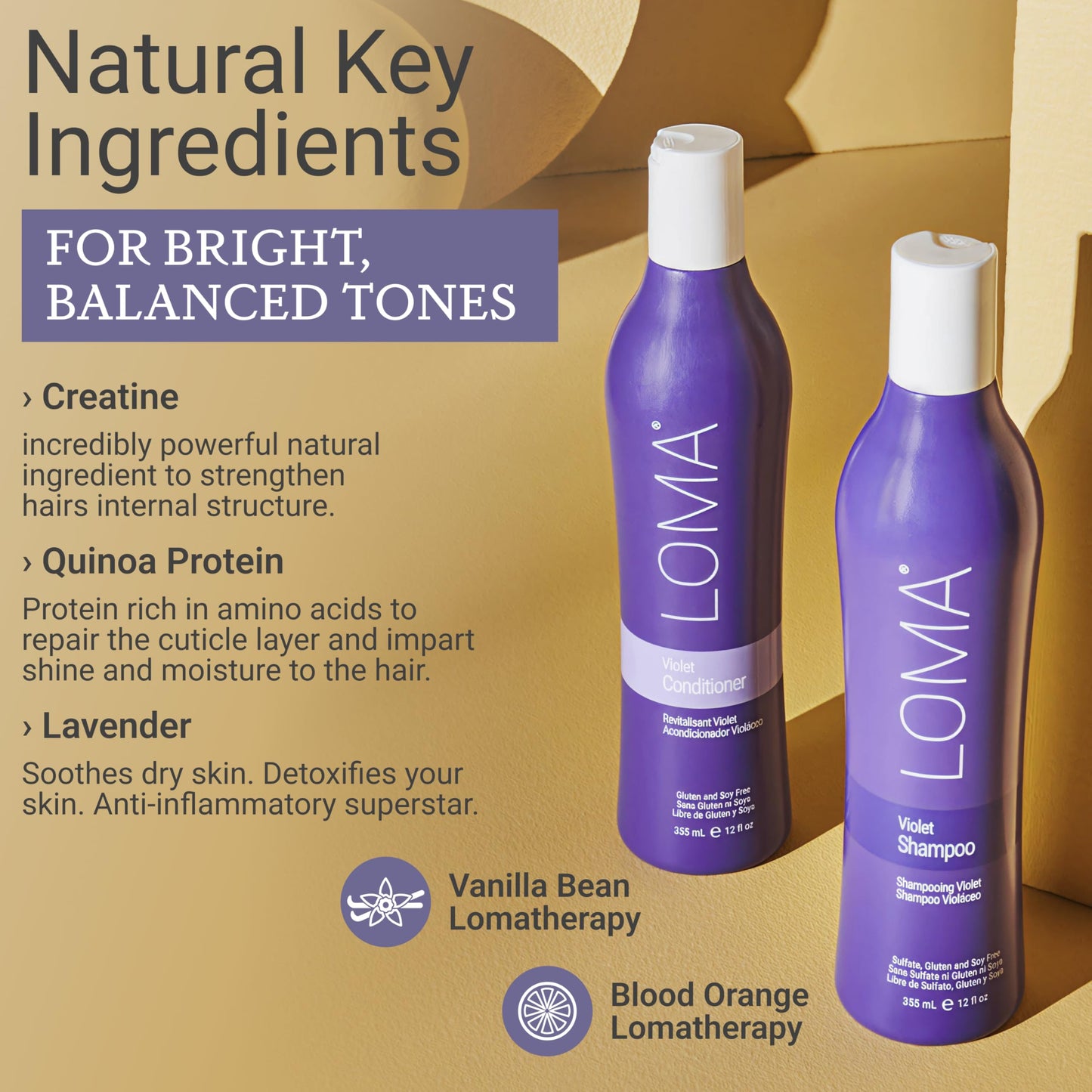 Loma Hair Care Violet Shampoo Violet Conditioner Duo, 12 Fl Oz , 2 Count (Pack of 1)