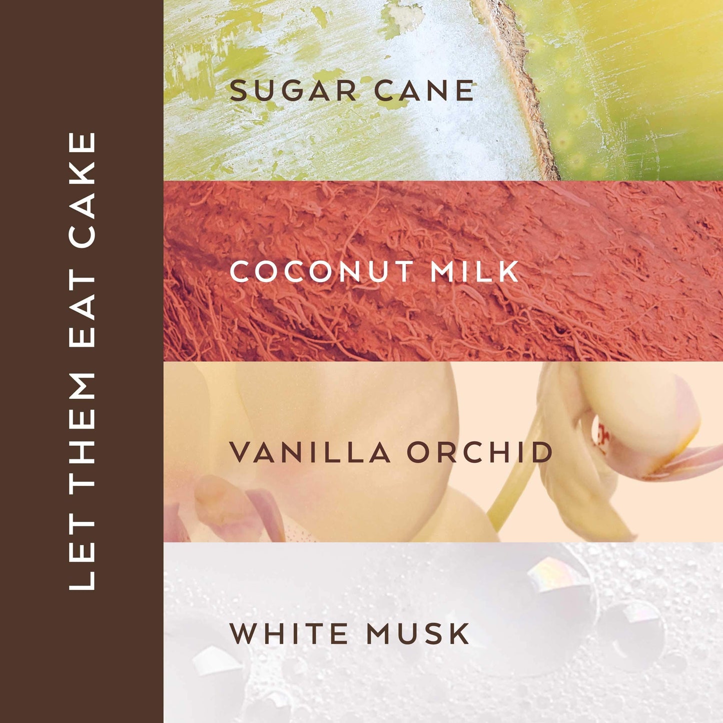 TOKYOMILK Eau de Parfum Discovery Set, 6 Fragrances in 0.23 fl. oz. Bottles, Perfume for Women, Mini-Perfume Sampler, Women’s Cologne Fragrances