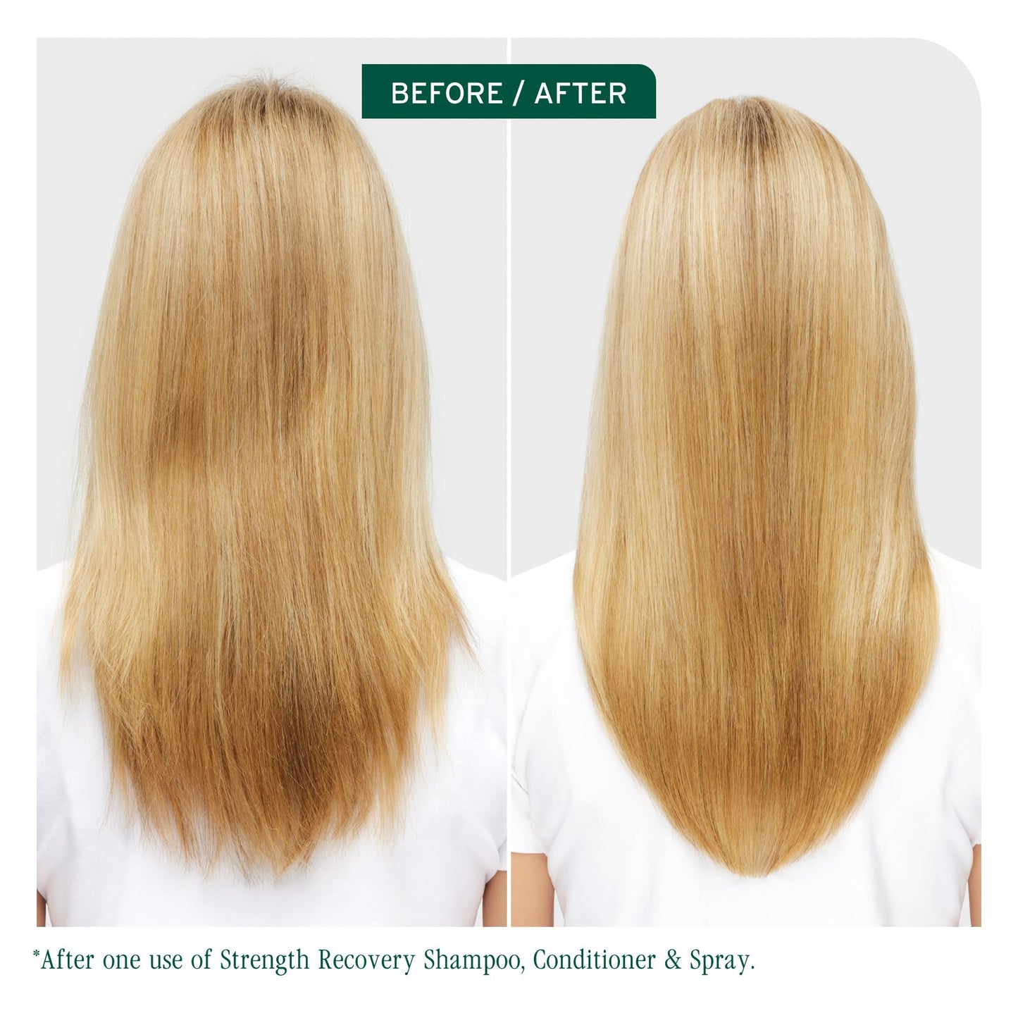 Biolage Strength Recovery Conditioner - Moisturizes & Strengthens Damaged Hair, Softness & Shine, Hydrates and Repairs Damaged Hair, With Olive