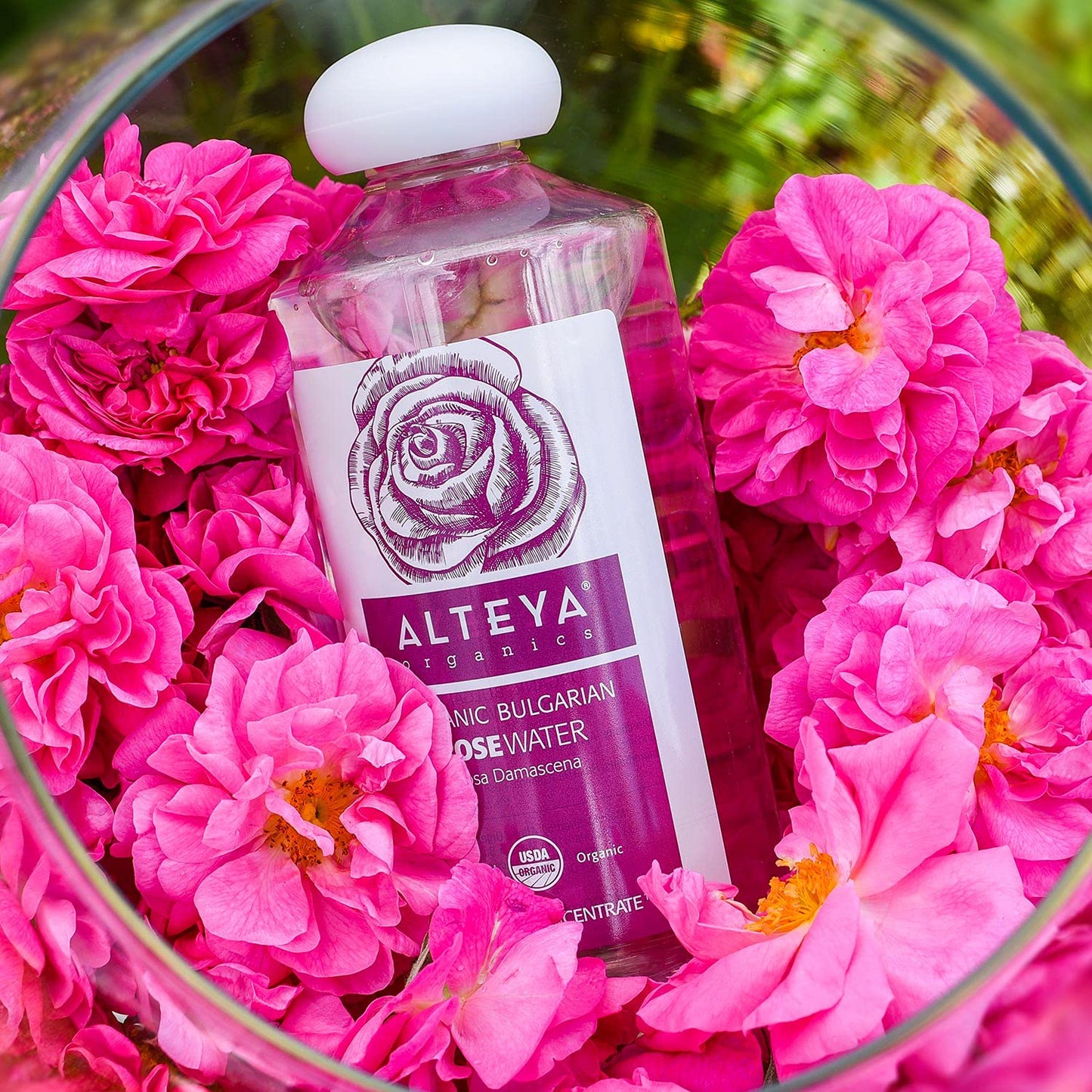 Alteya Organics Rose Water Toner 17 Fl Oz/500mL | USDA Certified Organic Bulgarian Rosa Damascena Hydrosol | Natural Hydrating Facial Toner for All