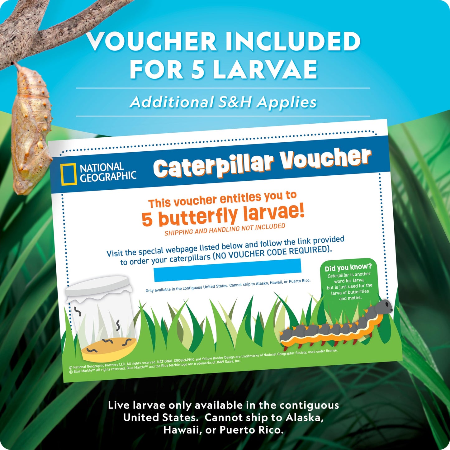 National Geographic Butterfly Growing Kit – Habitat with Voucher for 5 Caterpillars, Butterfly Cage & Feeder, Amazon Exclusive