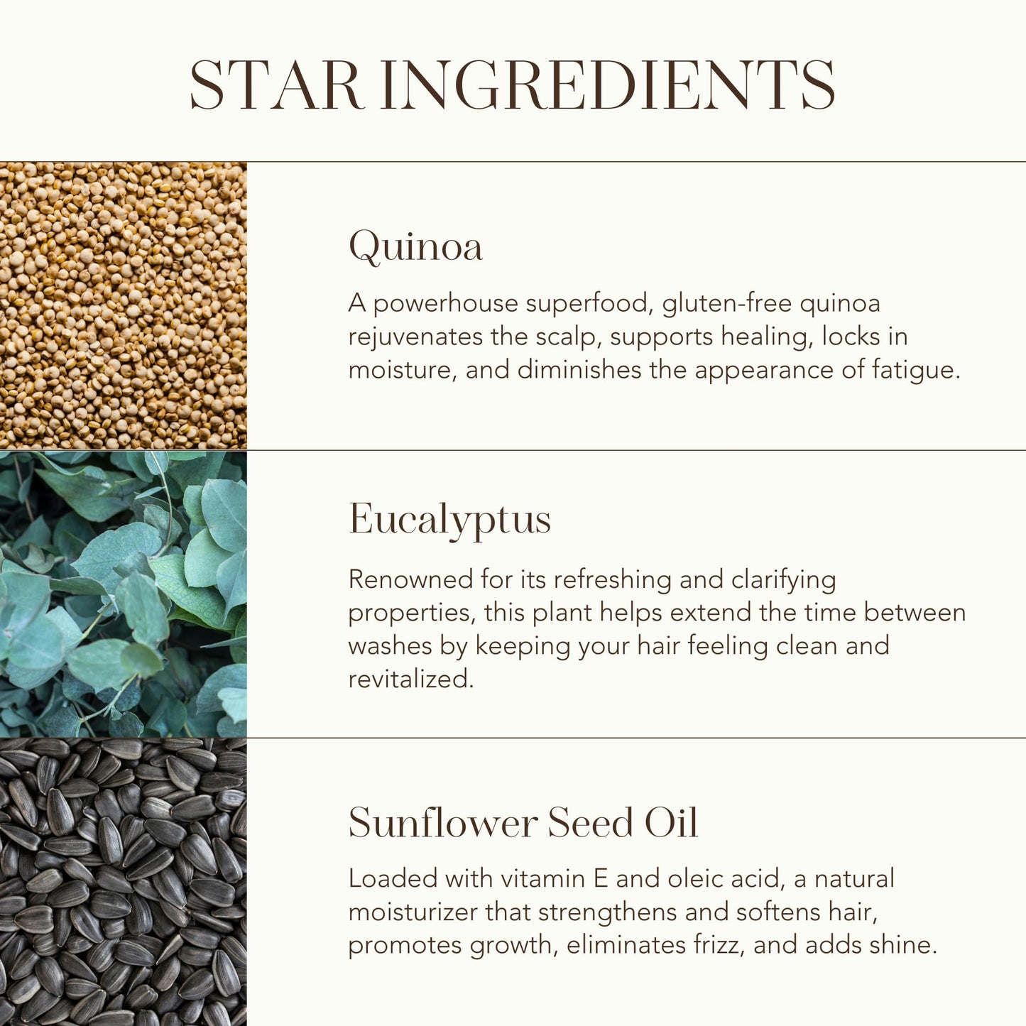 Rahua Omega 9 Hair Mask, Vegan Deep Conditioning Treatment for Damaged & Dull Hair Oil, Sunflower Seed Oil & Quinoa Protein for Softness & Shine