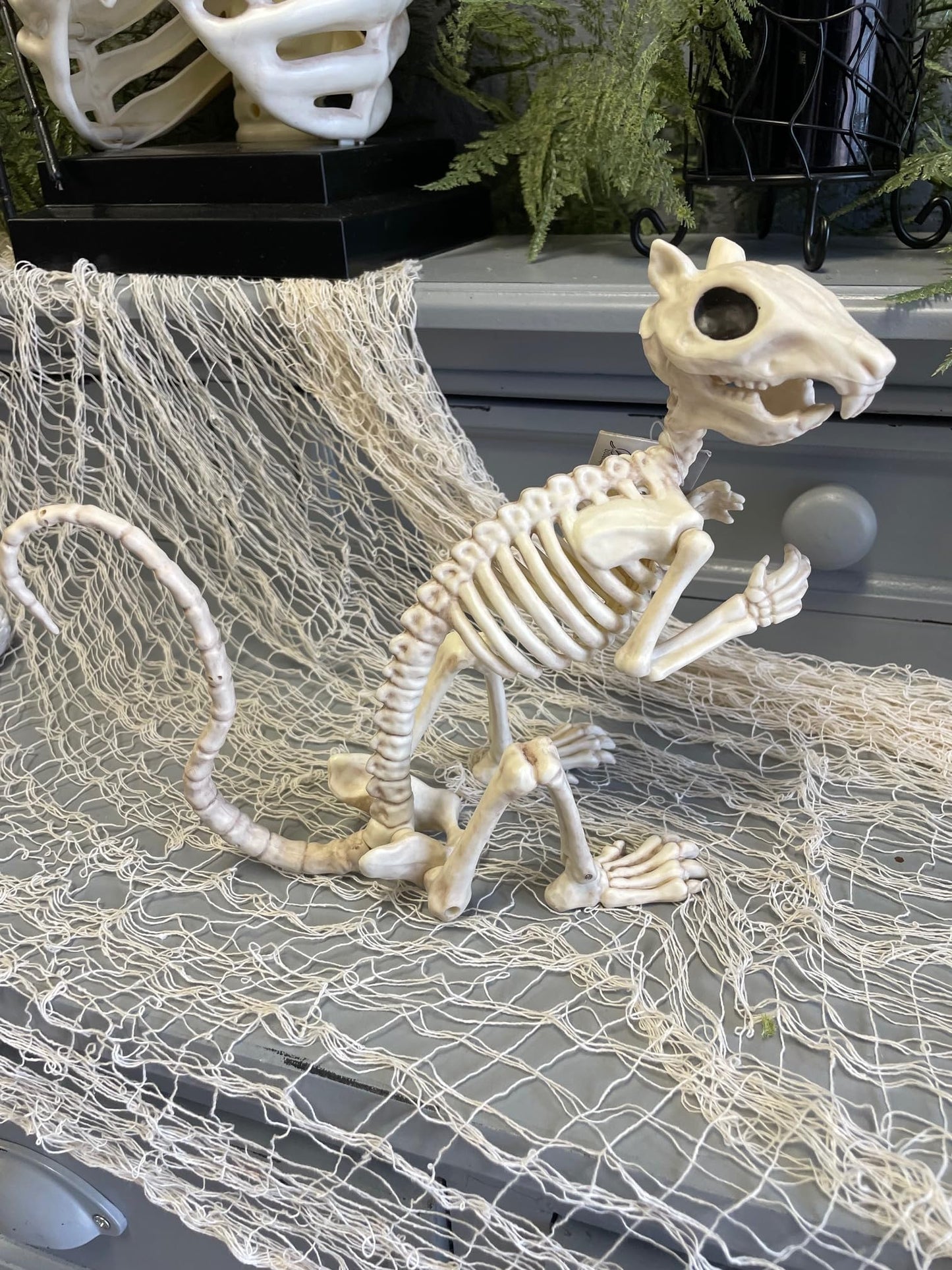 Crazy Bonez Skeleton Squirrel