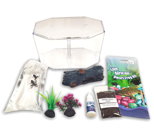 Nature Gift Store African Dwarf Frog Starter Kit- Includes Certificate for 2 Live Frogs -Small Aquarium, Food, Instructions