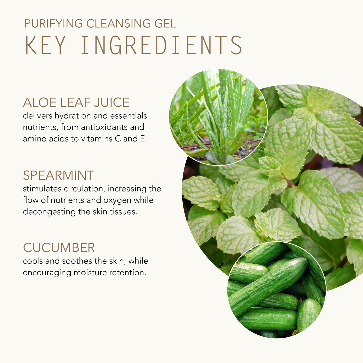 TAMMY FENDER - Purifying Cleansing Gel | Natural, Organic, Cruelty Free, Non-Toxic Skincare | Makeup Remover to Smooth, Soften, & Clarify | For Oily