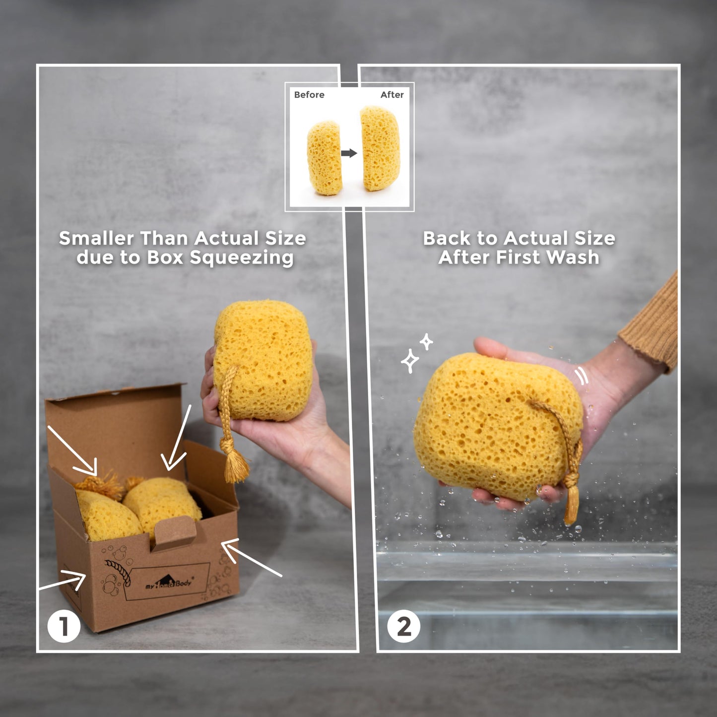 myHomeBody Bath Sponge, Foam Loofah, Shower Sponge for Body, Curvy, 3 Pack Beauty and Personal Care myHomeBody
