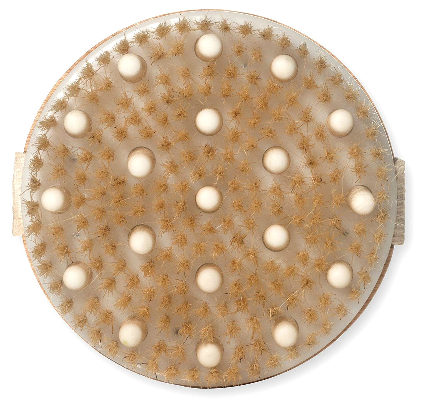 AKOAK Wet or Dry Brushing Body Brush,Gentle Massage Nodes Natural Bristle Body Brush,Exfoliate Skin,Cellulite Treatment, Stimulates Circulation Beauty and Personal Care AKOAK