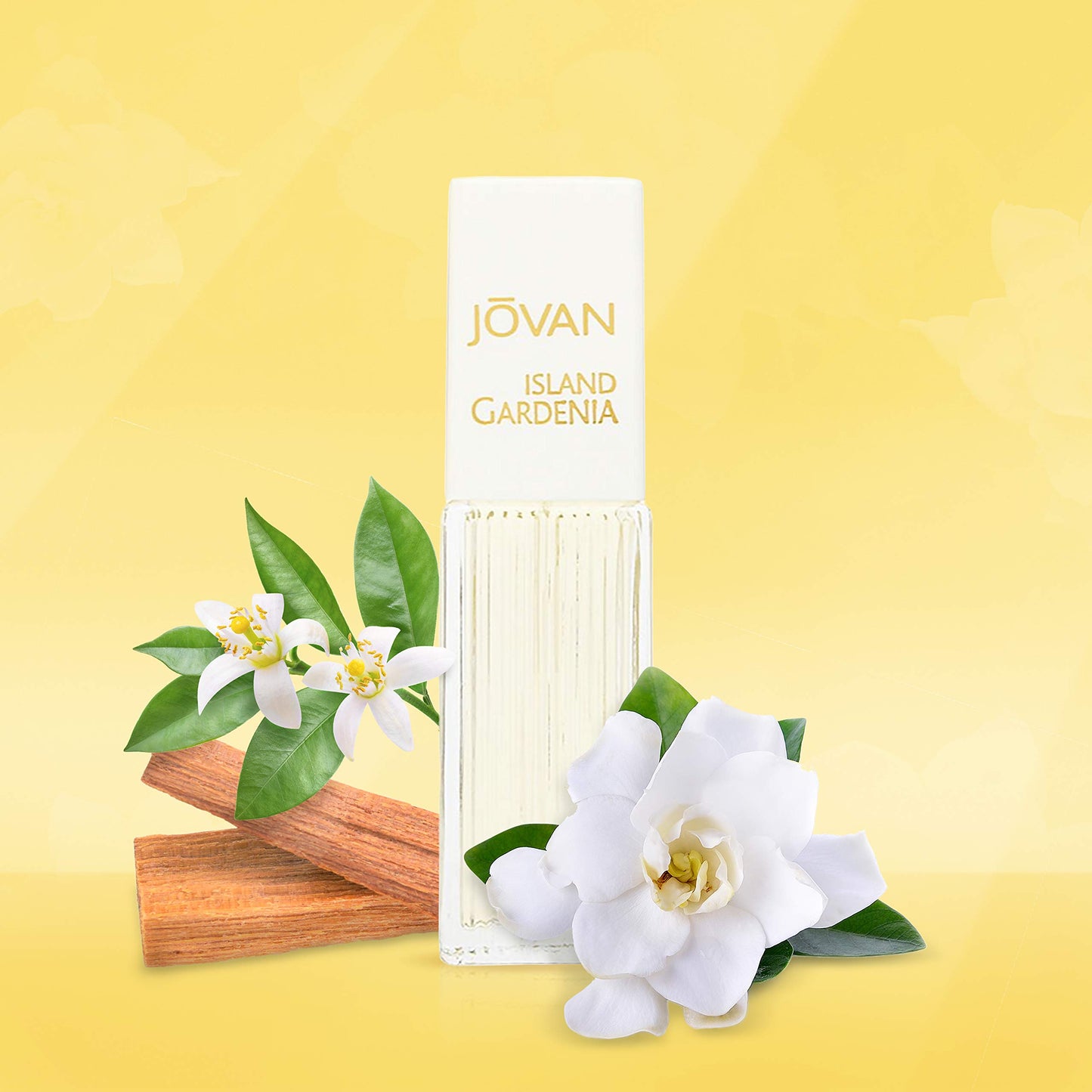 Jovan Island Gardenia Eau de Cologne Spray 1.5 fl oz (Pack of 1), Notes of Neroli, Gardenia, and Sandalwood, Women's Fragrance, Long Lasting, Everyday