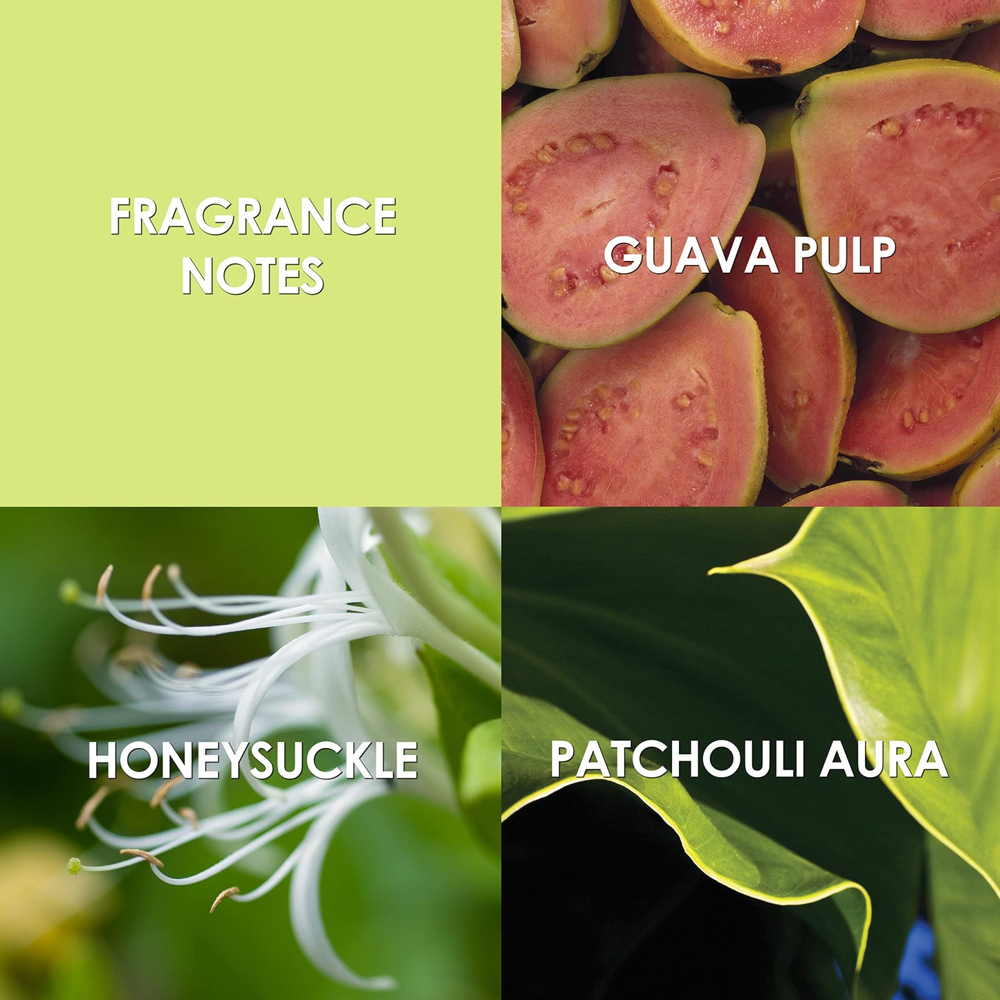 Britney Spears Believe Eau De Parfum Spray for Women, 1.7 Ounce